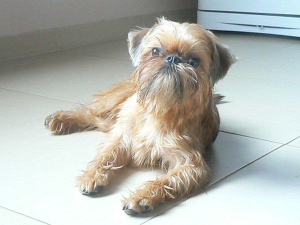 Ирина Авдеева