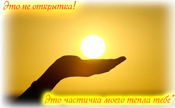 Анастасия Артамонова