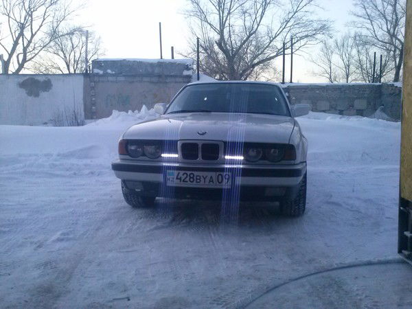 Дима Никитин