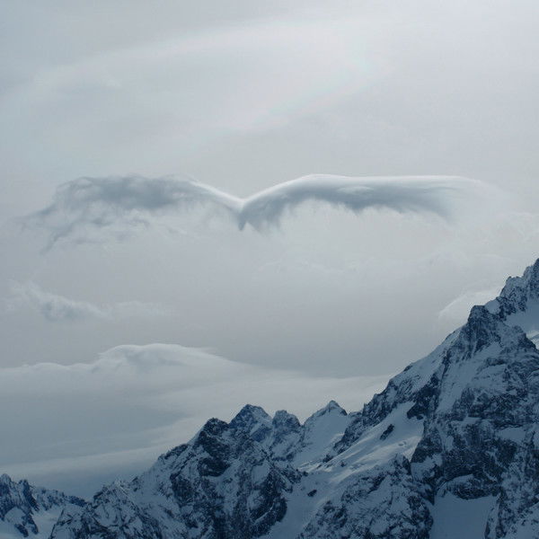 Андрей Шаповалов