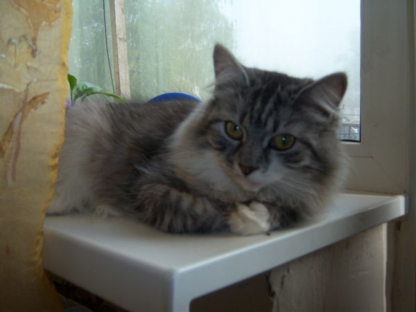 Вера Шкунова