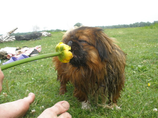 Оксана Изотова