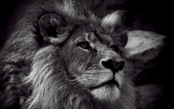 Рустам Рахматуллин