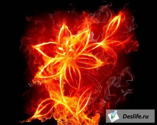 Маша Максимова