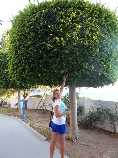 Екатерина Иванова