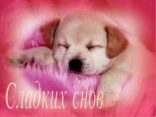 Александр Александров