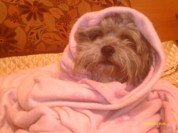 Ольга Данченко