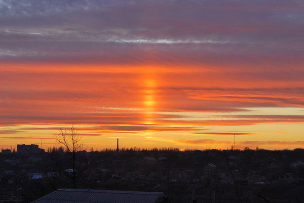 Максим -------