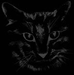 Женя Полозов