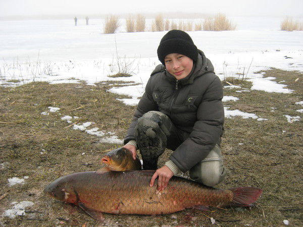 Андрей Максимов