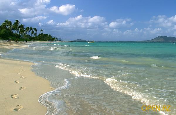 Елена Евгеньевна