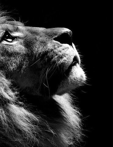 Андрей Тихонов