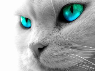 Ольга Рябова