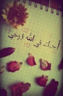 Ummu Raiana Jena Armana