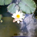 Светлана Полякова