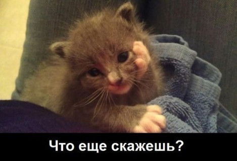 Сергей Муравьёв