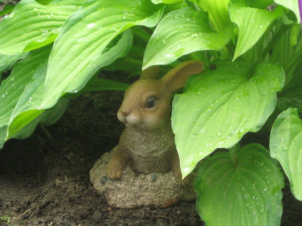 Вера Воробьева