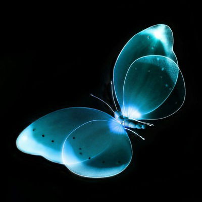 Мария Черняева