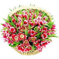 Нина Иваненко