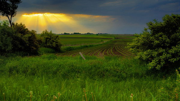 *денис* *?????*