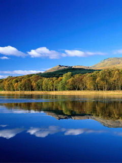 Амур Портнов