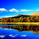 Амур Портнов