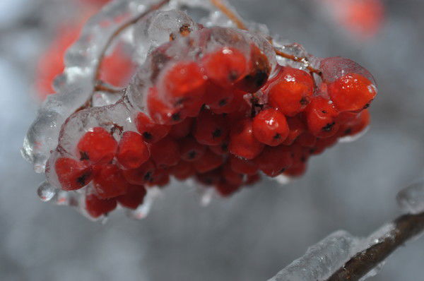 Альберт Галлямутдинов