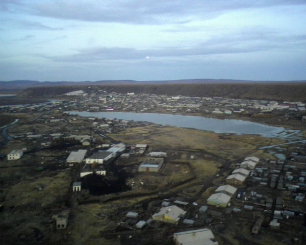 Алексей Голиков