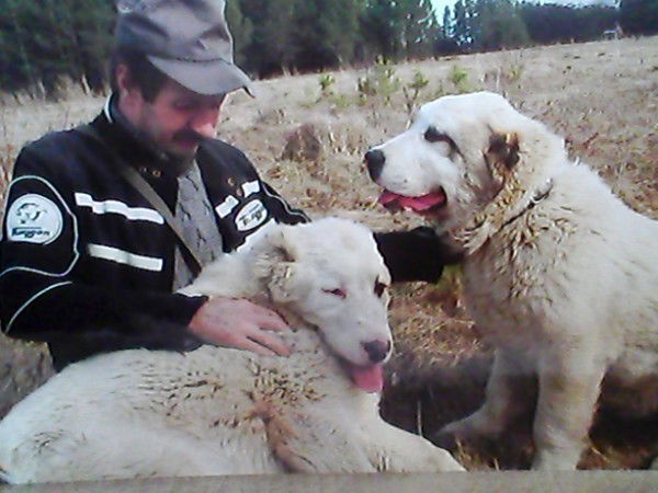 Александр Дунаев