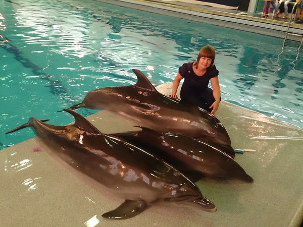 Елена Павлова