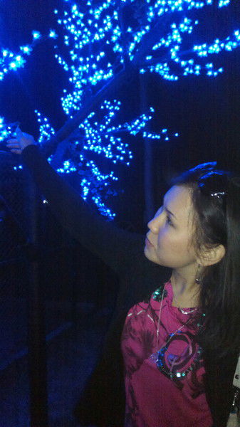 Эльзат Мамытова