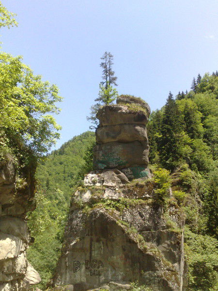 Равиль Багавиев