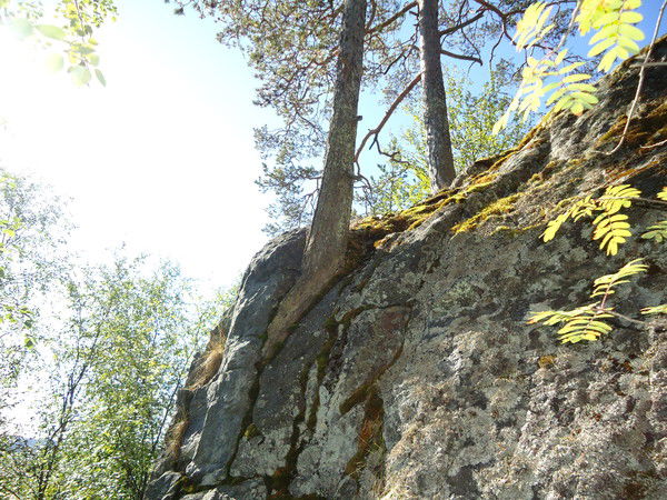 Ирина Коровкина