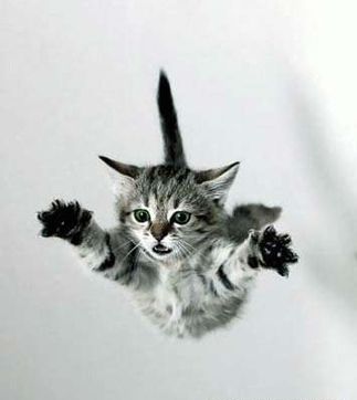 Konstantin Myasnikov