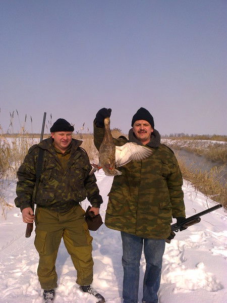 Александр Хворостенко