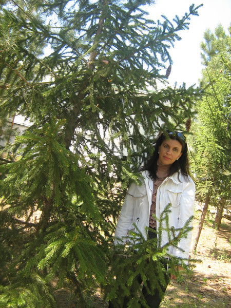 Елена Корсунская