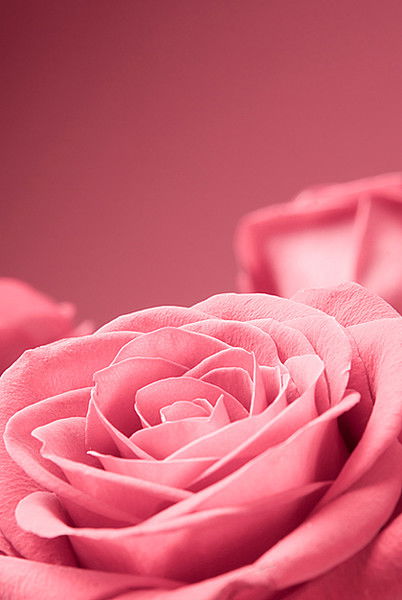 Бизнес Центр Филадельфия