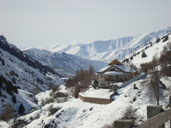 Виктория Молокова