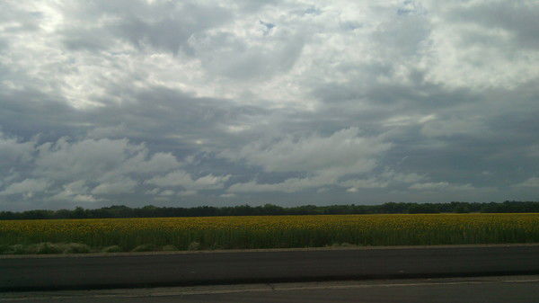 Виктория Старичкова