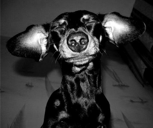 Ирина Едигорьянц