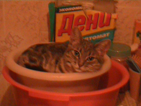 Марина Самойленко