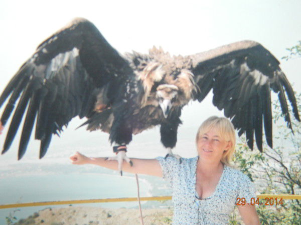 Наталия Андреева