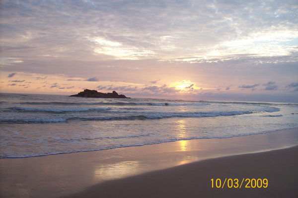 Элли Крутикова