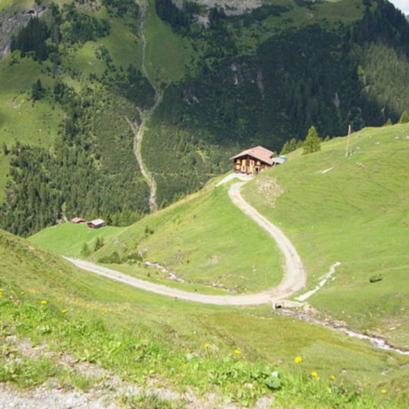 Сокпак-Тропинка Журнал