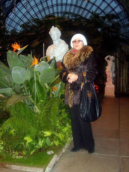 Светлана Новикова