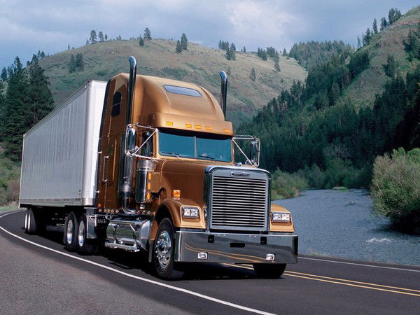 Светлана Горохова