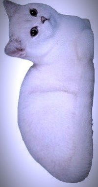 Артем Шварц