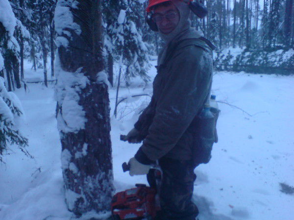 Андрей Огородник