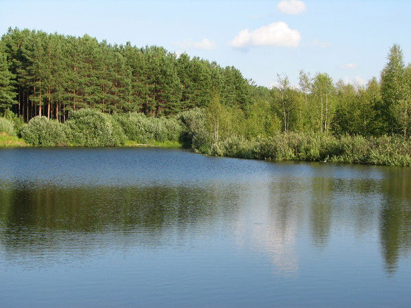 Гузель Гузель