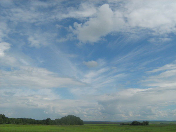 Галина Желткова